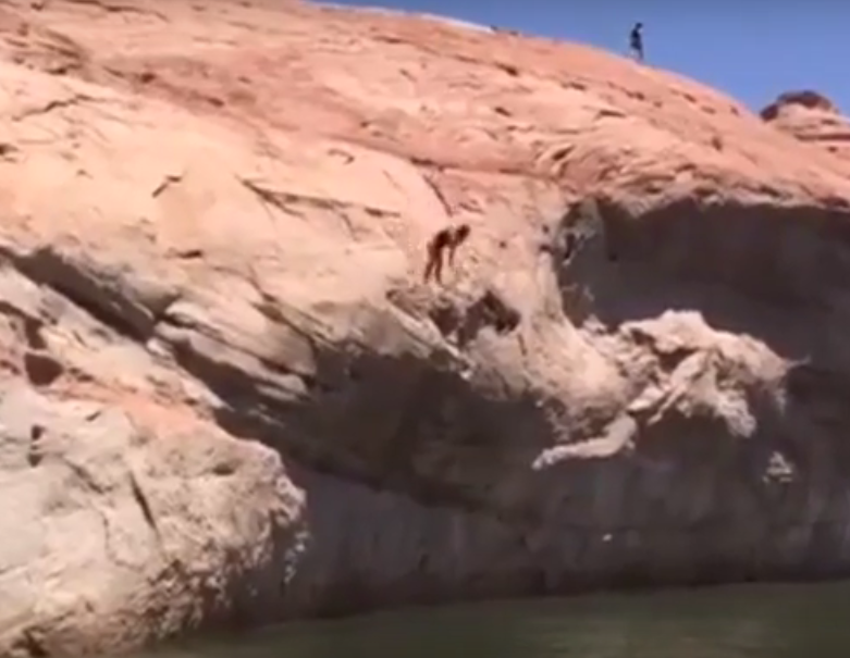 40 Foot Belly Flop