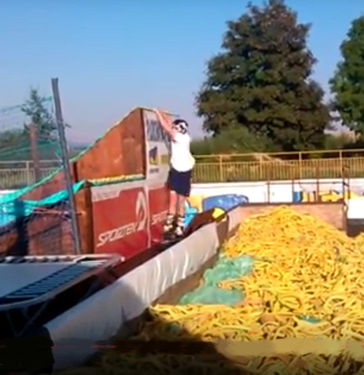 The Noncommttal Life