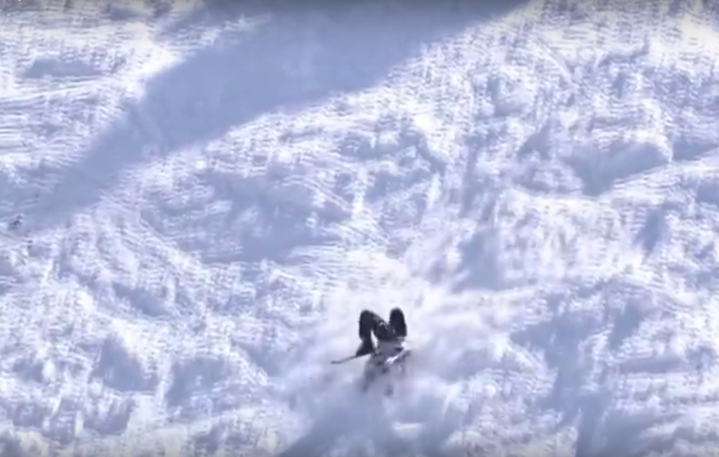 The Best Scorpion of All Time