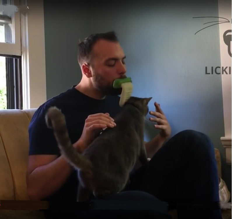 Lick Your Cat Like a Cat!!