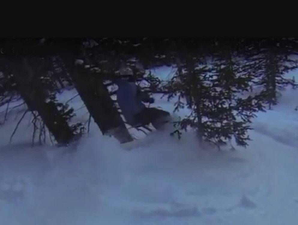 Tree to the Face