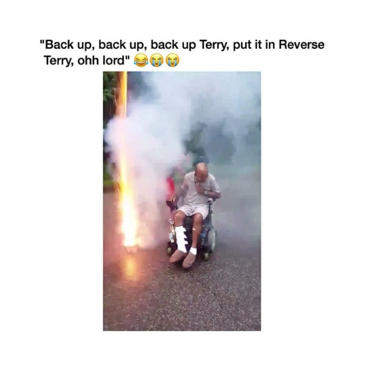 Terry of the Day